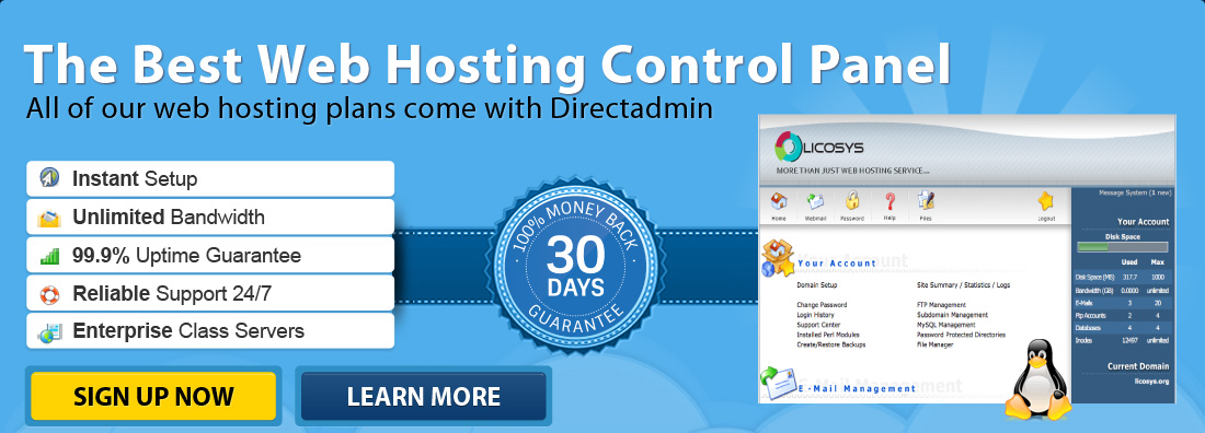Directadmin is the most popular web hosting control panel